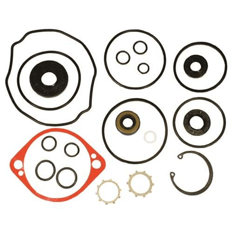 Gravely Pump Seal Kit OEM #59203600