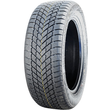 ArmstrongSki-Trac PC
