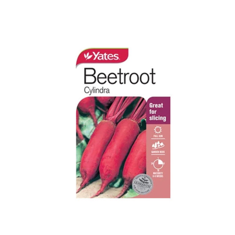 Beetroot Cylindra