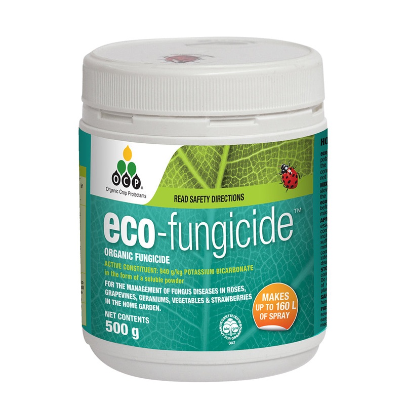 Eco-Fungicide Concentrate – 500G
