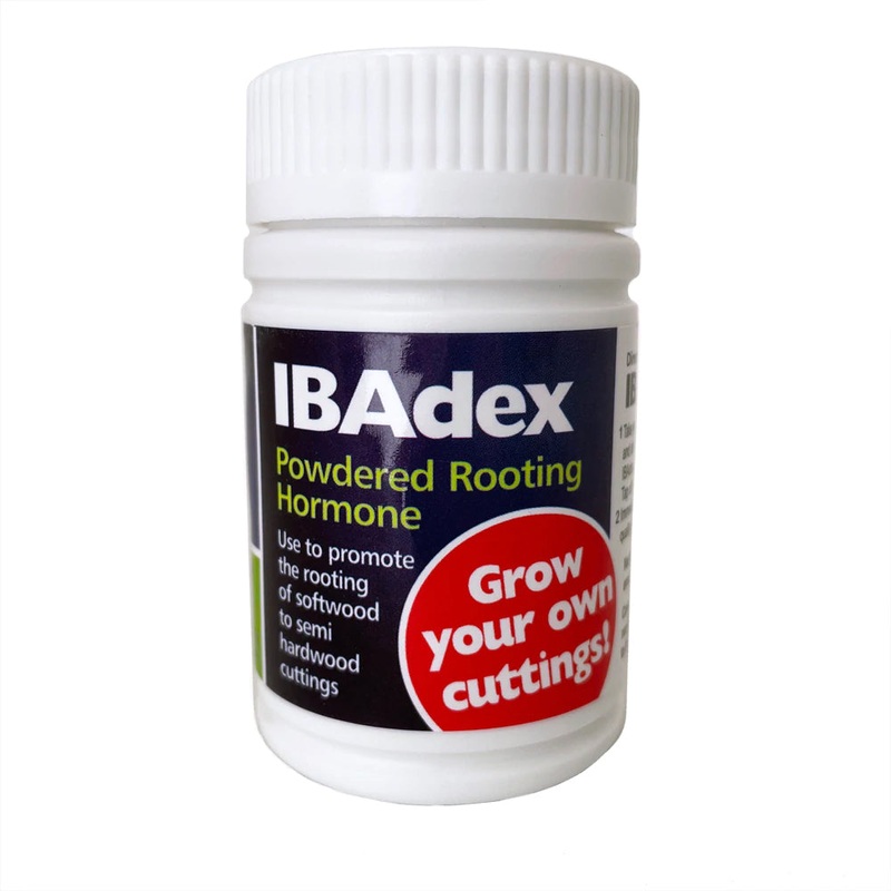 Egmont IBADEX Rooting Hormone Powder – 25 grams