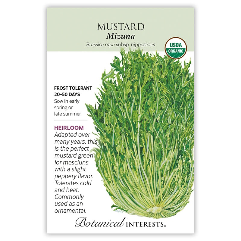 SEEDS: Mustard – Mizuna – Organic